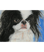 Japanese Chin Dog Art Pastel Drawing Solomon Framed - $190.00