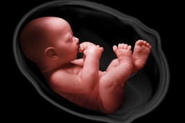 Fertility Safe Pregnancy Fall Pregnant Voodoo Magick Spell - £21.58 GBP