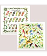 Wild Birds Bandanna 2-Pack Bundle Songbrids Hummingbirds Nature Facts Ca... - €15,60 EUR Wild Birds Bandanna 2-Pack Bundle Songbrids Hummingbirds Nature Facts Ca... - €15,60 EUR