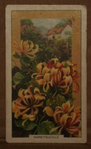 VINTAGE GALLAHER CIGARETTE CARDS WILD FLOWERS HONEYSUCKLE 16 NUMBER X1 b19 - £1.36 GBP