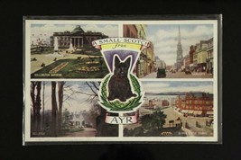 Vintage Scotland Souvenir Postcard Scotch Terrier AYR Hendersons Coloured Series - £7.64 GBP