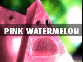 New Fresh 15 Seeds Juicy Pink Watermelon Large Summer Time Planting Gard... - $7.00
