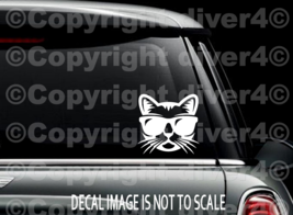 Cool Cat Head with Sunglasses Car Truck Window Decal Bumper Sticker US Seller  - £5.35 GBP+
