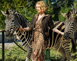 The Zookeeper&#39;s Wife Jessica Chastain with Zebra&#39;s 16x20 Canvas Giclee - £55.93 GBP