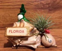 Tilla Critters Al - Rida One of a Kind Airplant Creations by Chili Fiest... - $19.00