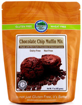 Authentic Foods Chocolate Chip Muffin Mix - £40.56 GBP