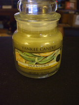 Yankee Candle #138471 Small 3.7 oz. Sage &amp; Citrus Scent Jar Candle - £16.09 GBP