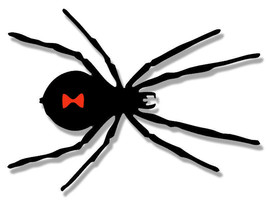 4&quot; black widow spider shaped bumper sticker decal - £15.79 GBP