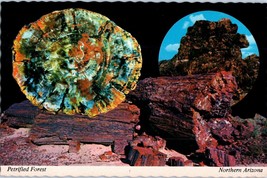 Petrified Forest National Monument Northern Arizona Petley Postcard - £5.90 GBP