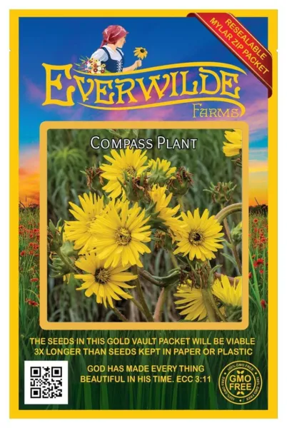 20 Compass Plant Wildflower Seeds - Everwilde Farms Mylar Seed Packet - £7.57 GBP