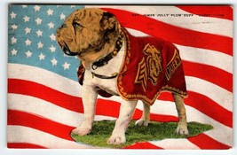 Sgt James Jolly Duff Duffy Bulldog Dog San Diego Marines Military Postcard 1943 - £34.77 GBP