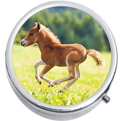 Baby Brown Horse Foal Medicine Vitamin Compact Pill Box - $9.78