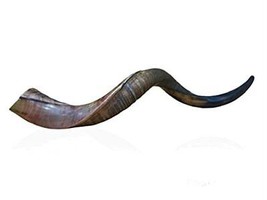 Natural Kudu Horn 20&quot;-22&quot; Shofar Half Polished Sterile Clean New Perfect... - £143.10 GBP