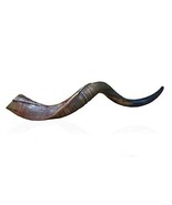 Natural Kudu Horn 20&quot;-22&quot; Shofar Half Polished Sterile Clean New Perfect... - £141.77 GBP