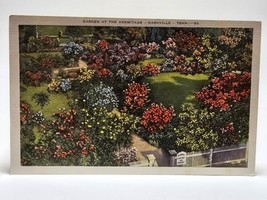 Vintage Postcard - Garden At The Hermitage (Andrew Jackson), Nashville, TN - £7.42 GBP