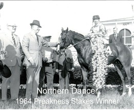 1964 - NORTHERN DANCER in the Preakness Stakes Winners Circle - 10&quot; x 8&quot; - £15.98 GBP