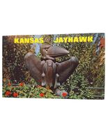 Postcard Kansas Jayhawk Mascot University Of Kansas Lawrence Kansas Chrome - €5,21 EUR
