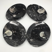 4pcs,6.25&quot;x4.75&quot;x5mm Oval Fossils Orthoceras Ammonite Bowls Dishes,Black, MF1384 - £29.23 GBP
