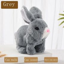 Item image 14