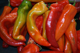 Pepper Corno Di Toro Mix Vegetable Seed Renee&#39;S 12/23 Fresh New - £5.09 GBP