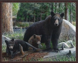 American Black Bear with Cubs .75&quot; Stretched Canvas Wildlife Nature Art - £58.99 GBP