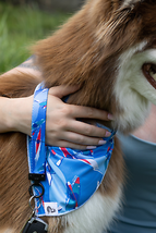 K9 Kayak Adventure Set: Stylish Dog Bandana &amp; Keychain - £26.87 GBP