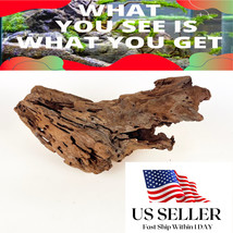NATURAL MANGROVE DRIFTWOOD #M106 WYSIWYG - AQUASCAPING, SUPER PRICE!! DE... - $33.87 CAD
