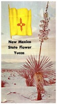 Yucca New Mexico State Flower Cactus Postcard - £5.48 GBP
