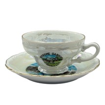Vintage Souvenier Tea Cup &amp; Saucer Rockome Gardens Arcola IL Cupid&#39;s Gia... - $14.01
