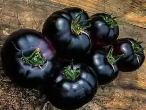 50 Seeds Black Beauty Tomato Juicy Tomatoe Vegetable Edible Food Fresh Garden - £7.29 GBP