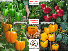 New Fresh Seeds Bell Pepper Combo 4 Pack 120 Seeds Fast Ship - $29.98