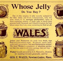 Wales Jelly Preserves 1897 Advertisement Victorian Massachusetts DWFF19 - $17.50
