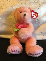 TY BEANIE BABY DEAR GRANDMA THE BEAR 8&quot; NEW WITH TAGS MINT - $7.80
