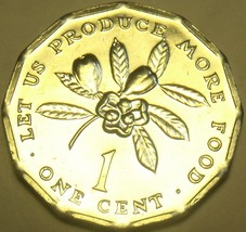 Gem Unc Jamaica 1977 F.A.O. Cent~Let Us Produce More Food~12-Sided~Free ... - $3.03