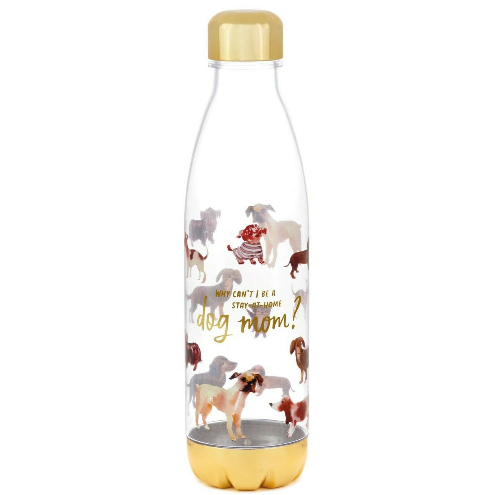 "WHY CAN'T I BE A STAY AT HOME DOG MOM" PLASTIC WATER BOTTLE NEW  - £15.54 GBP