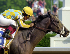 DVD - Entire 2001 TRIPLE CROWN Race Broadcasts - MONARCHOS &amp; POINT GIVEN - $44.99