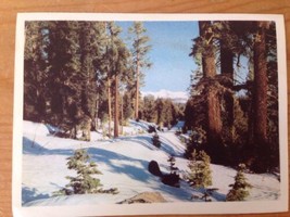 Vintage White Border Holiday Seasons Greetings Card Snow Covered Forest ... - £11.93 GBP