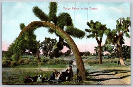 Man Sitting Under Yucca Palms In Desert California UNP Unused DB Postcard  C16 - £7.86 GBP