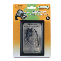 CollectA Tooth and Finger Claw of Allosaurus in Display Case - £26.79 GBP