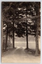 RPPC Dirt Road Through The Pines Lake In Distance Real Photo Postcard B31 - £6.26 GBP