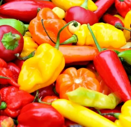 PSStore 50 Hot Pepper Mix Jalapeno Habanero Heirloom Seeds - £7.39 GBP