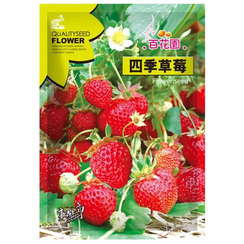 200 seeds &#39;Medelet&#39; Series Red Strawberry - £13.37 GBP
