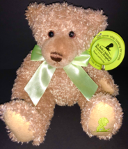 NEW St. Jude First and Main 12&quot; Teddy Bear Scraggles 18642 7 Eleven NWT 2005 - £15.27 GBP