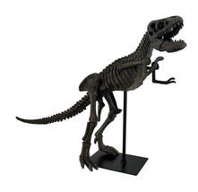 Zeckos 18 in. Long Tyrannosaurus Rex Dinosaur Fossil Statue On Museum Mount - £77.63 GBP