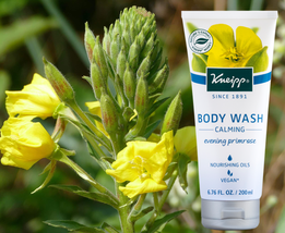 Kneipp Evening Primrose Body Wash - Calming, 6.76 fl oz image 2