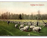 Shepherd w Sheep on Road Lemert Ohio OH DB Postcard H28 - $24.70