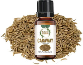 10 ml Natural Pure Caraway/ Carum carvi Essential Oil - $29.39