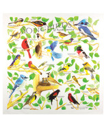 Printed Image Songbirds of North America Bandanna 22&quot; x 22&quot; Camping Outd... - €9,94 EUR