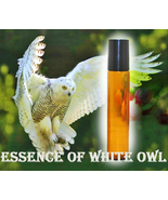 Haunted 27x ESSENCE OF WHITE OWL CLEAR NEG SPACE HEAL OIL MAGICK WITCH CASSIA4 - $67.77