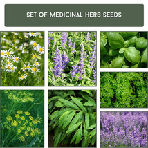 Healing Garden Delight - Complete Medicinal Herb Seed Kit, Grow Your Own Herbal  - £18.02 GBP